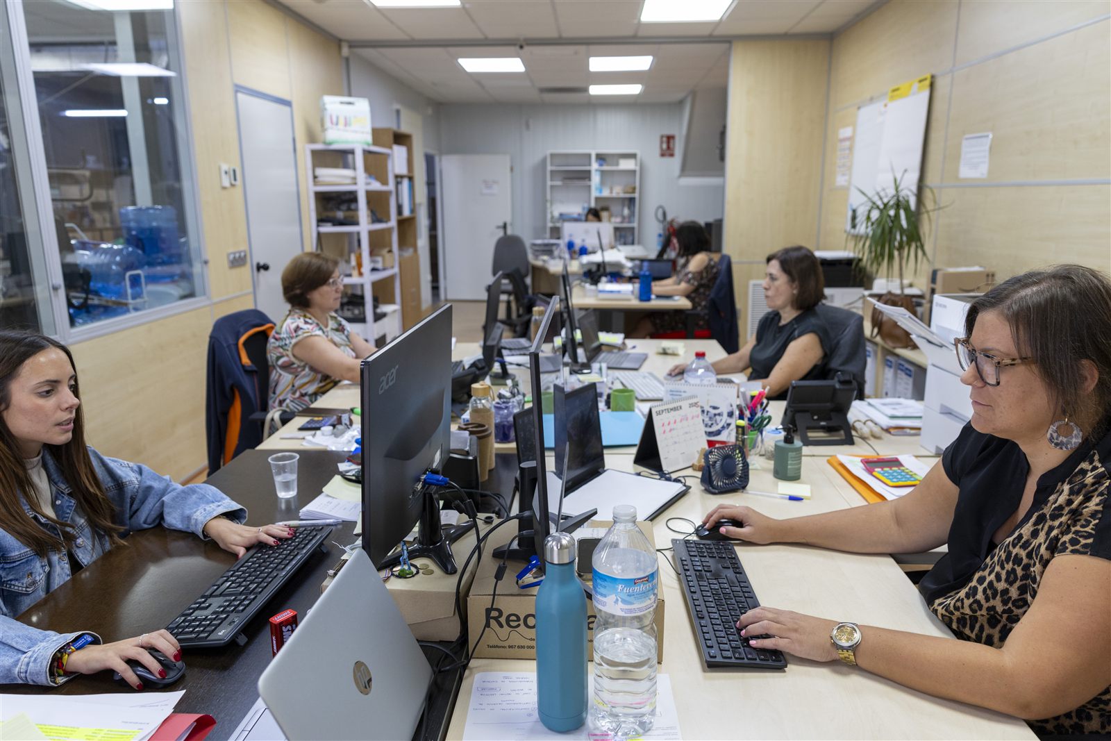 Equipo de Recamania trabajando en la oficina